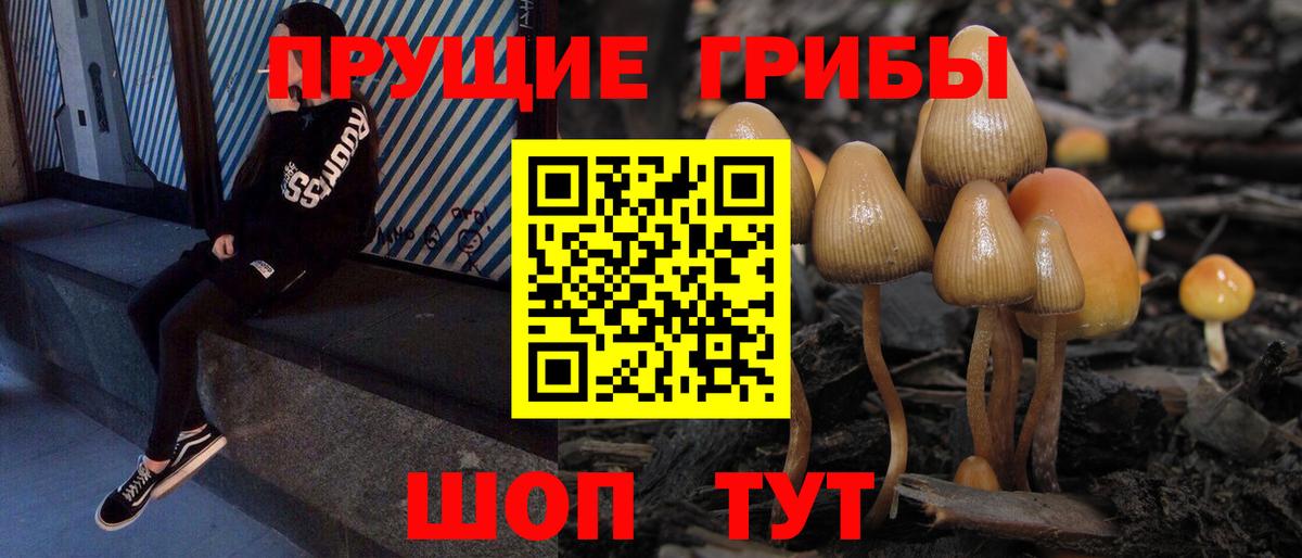 Псилоцибиновые грибы прущие грибы  Галлюциногенные грибы мухоморы  Сегежа  Вход с VPN 